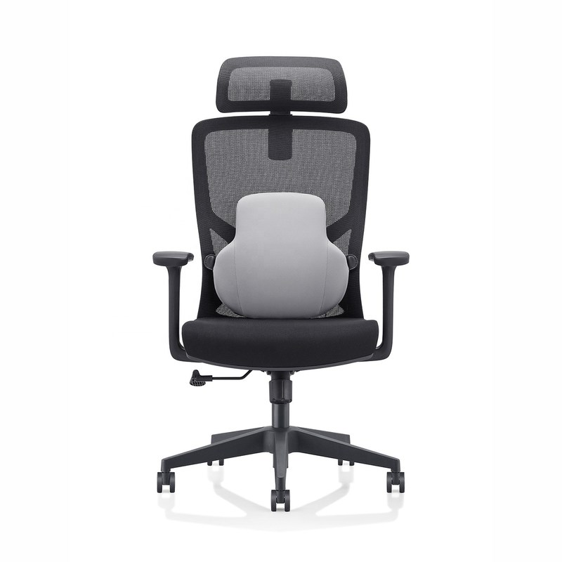Mesh Fabric Ergonomic Office Chair for Workstation and Manager 645*630*1145-1300mm